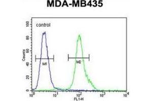 Image no. 1 for anti-Myc Target 1 (MYCT1) (AA 142-171), (C-Term) antibody (ABIN953561)
