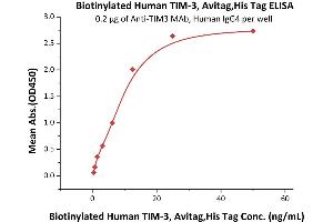 Hepatitis A Virus Cellular Receptor 2 (TIM 3) (AA 22-200) (Active) protein (His tag,AVI tag,Biotin)