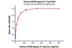 Immobilized Human OX40, His Tag (Cat# OX0-H5224) at 2 μg/mL (100 μl/well) can bind Human OX40 Ligand, Fc Tag (Cat# OXL-H526x ) with a linear range of 2-15 ng/mL.