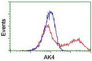 Image no. 4 for anti-Adenylate Kinase 4 (AK4) antibody (ABIN1496524)