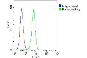 Image no. 1 for anti-Sphingomyelin phosphodiesterase 1, Acid Lysosomal (SMPD1) (AA 391-419), (C-Term) antibody (ABIN5536932)
