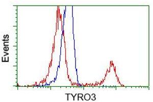 Image no. 1 for anti-TYRO3 Protein Tyrosine Kinase (TYRO3) antibody (ABIN2734692)