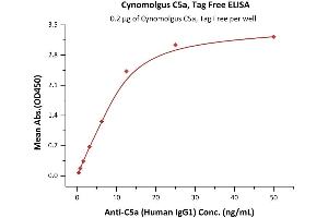 Image no. 2 for Complement Component 5a (C5a) (AA 678-751) (Active) protein (ABIN6809880)