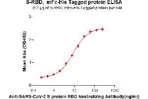 Image no. 4 for SARS-CoV-2 Spike (RBD) protein (mFc Tag,His tag) (ABIN6961147)