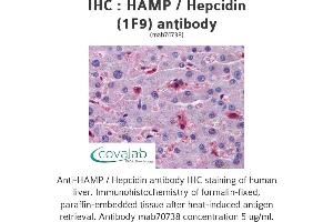 Image no. 2 for anti-Hepcidin Antimicrobial Peptide (HAMP) (AA 25-85), (full length) antibody (ABIN1723595)