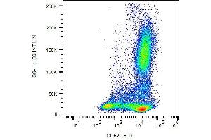 Image no. 2 for anti-Selectin L (SELL) antibody (FITC) (ABIN457338)