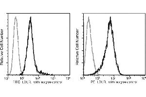 Image no. 1 for anti-Low Density Lipoprotein Receptor (LDLR) (AA 1-790) antibody (PE) (ABIN2000731)