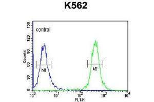 Image no. 1 for anti-Transcriptional Regulating Factor 1 (TRERF1) (AA 1143-1172), (C-Term) antibody (ABIN955327)