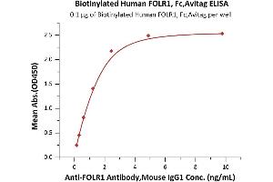 Image no. 3 for Folate Receptor 1 (Adult) (FOLR1) (AA 25-233) (Active) protein (Fc Tag,AVI tag,Biotin) (ABIN6731323)