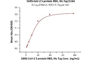 Image no. 3 for SARS-CoV-2 Spike S1 (G476S), (RBD) protein (His tag) (ABIN6952628)