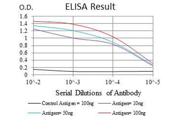 anti-MutS Homolog 6 (E. Coli) (MSH6) antibody