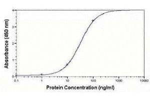 Image no. 1 for anti-Low Density Lipoprotein (LDL) antibody (ABIN2467932)