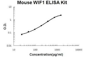 Image no. 1 for WNT Inhibitory Factor 1 (WIF1) ELISA Kit (ABIN5510690)