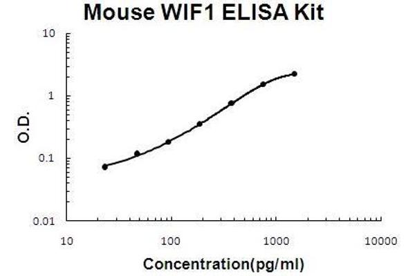WIF1 ELISA 试剂盒