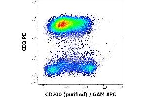 Image no. 2 for anti-CD200 (CD200) antibody (ABIN6240832)