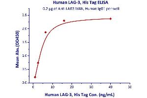 Immobilized Human LAG-3, His Tag  can bind anti-LAG-3 mAb with a linear range of 0.