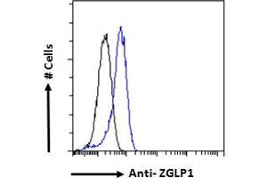 ZGLP1 抗体  (Internal Region)