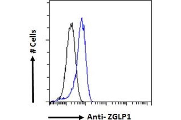 ZGLP1 抗体  (Internal Region)
