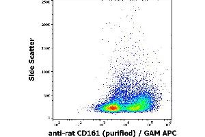 Flow cytometry surface staining pattern of rat splenocyte suspension stained using anti-rat CD161 (10/78) purified antibody (concentration in sample 0,5 μg/mL) GAM APC.