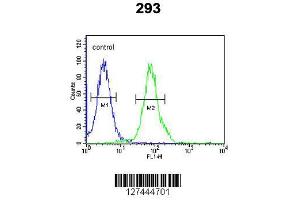 Image no. 2 for anti-Rhotekin 2 (RTKN2) (AA 99-127), (N-Term) antibody (ABIN652002)