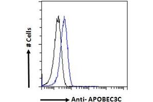 Image no. 2 for anti-Apolipoprotein B mRNA Editing Enzyme, Catalytic Polypeptide-Like 3C (APOBEC3C) (C-Term) antibody (ABIN334348)
