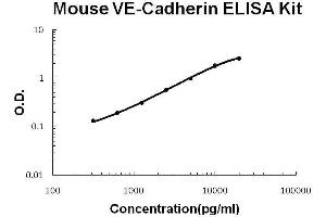 Image no. 1 for Cadherin 5 (CDH5) ELISA Kit (ABIN2859330)
