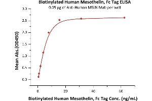 ELISA image for Mesothelin (MSLN) (AA 296-580) (Active) protein (Fc Tag,Biotin) (ABIN2444166)