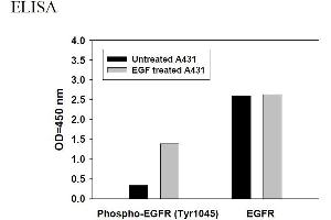 Image no. 3 for Epidermal Growth Factor Receptor (EGFR) ELISA Kit (ABIN625235)