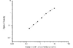 Image no. 1 for Fatty Acid Binding Protein 1, Liver (FABP1) ELISA Kit (ABIN6963064)