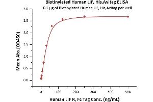 Image no. 2 for Leukemia Inhibitory Factor (LIF) (AA 23-202) protein (His tag,AVI tag,Biotin) (ABIN5954922)