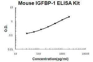 Mouse IGFBP-1 PicoKine ELISA Kit standard curve