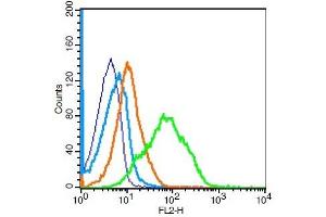 CD1d1 antibody  (AA 51-150)