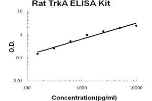 Image no. 1 for Neurotrophic Tyrosine Kinase, Receptor, Type 1 (NTRK1) ELISA Kit (ABIN921109)
