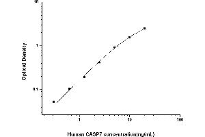 Image no. 1 for Caspase 7, Apoptosis-Related Cysteine Peptidase (CASP7) ELISA Kit (ABIN6962082)