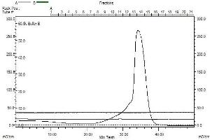 Size-exclusion chromatography-High Pressure Liquid Chromatography (SEC-HPLC) image for Spermine Oxidase (SMOX) (AA 1-555) protein (His tag) (ABIN3077180)