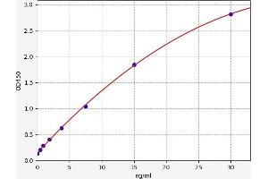 Fibrinogen beta Chain ELISA Kit