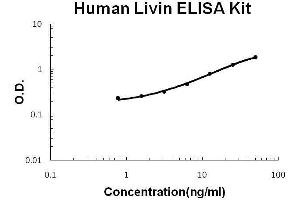Baculoviral IAP Repeat-Containing 7 (BIRC7) ELISA Kit