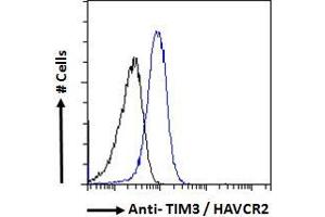 TIM3 anticorps  (Internal Region)