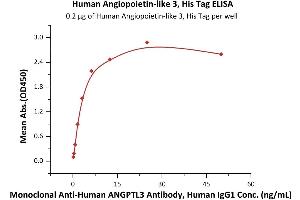 Immobilized Human Angiopoie 3, His Tag (ABIN2180589,ABIN2180588) at 2 μg/mL (100 μL/well) can bind Monoclonal A ANGPTL3 Antibody, Human IgG1 with a linear range of 0.