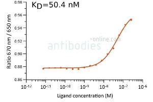 Microscale thermophoresis measurement of binding of anti- SARS-CoV-2 Spike antibody AA 319-541 MM117 (ABIN7042145) to SARS-CoV-2 Spike (Trimer) protein (ABIN6952670).