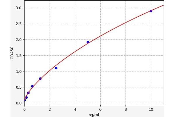 ABCB1 ELISA 试剂盒