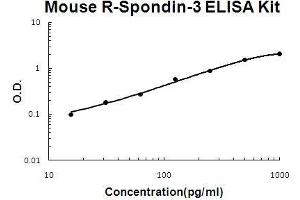 Image no. 1 for R-Spondin 3 (RSPO3) ELISA Kit (ABIN5510692)