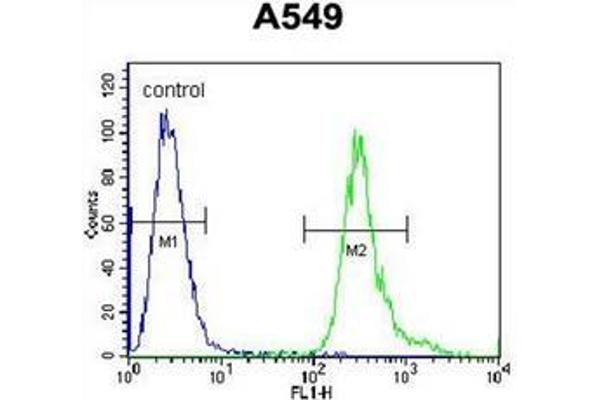 anti-Leucine Rich Repeat Containing 6 (LRRC6) (AA 186-215), (Middle Region) antibody