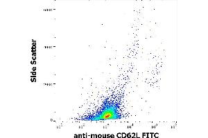 Image no. 1 for anti-Selectin L (SELL) antibody (FITC) (ABIN457350)