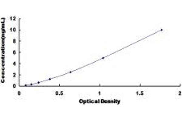 Gastrokine 1 Kit ELISA