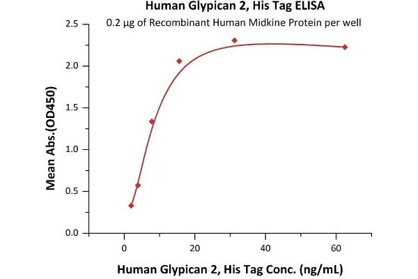 Glypican 2 (GPC2) (AA 24-554) (Active) protein (His tag)