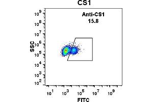 Image no. 2 for anti-Catalase (CAT) (AA 23-226) antibody (ABIN6961050)