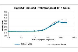 SDS-PAGE of Rat Stem Cell Factor Recombinant Protein Bioactivity of Rat Stem Cell Factor Recombinant Protein.
