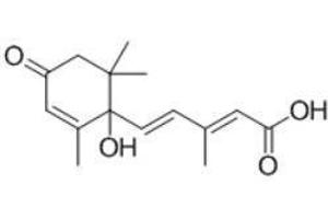 Image no. 2 for Abscisic Acid (ABA) peptide (Ovalbumin) (ABIN5666060)