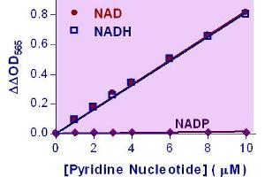 Biochemical Assay (BCA) image for NAD/NADH Assay Kit (ABIN1000284)